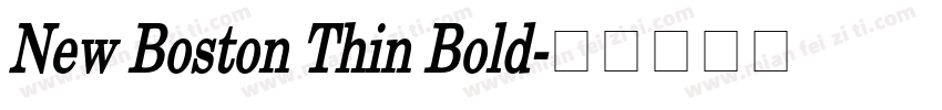 New Boston Thin Bold字体转换